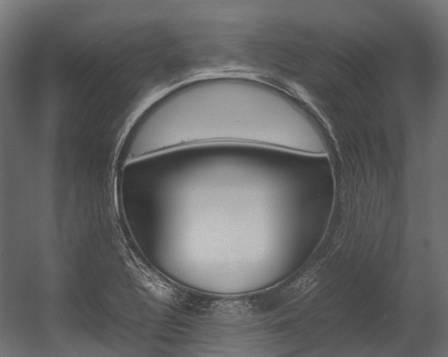 X0000054431320200507290942
