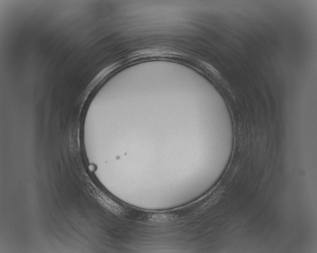 X0000054431322200507290942