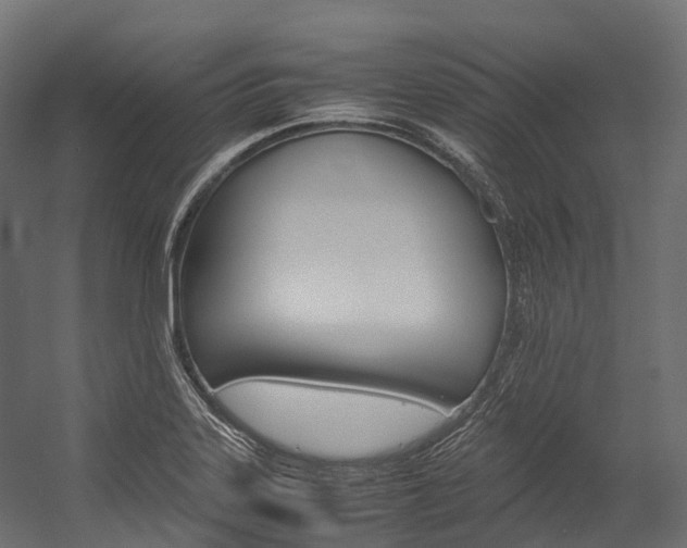 X0000054431323200507290942