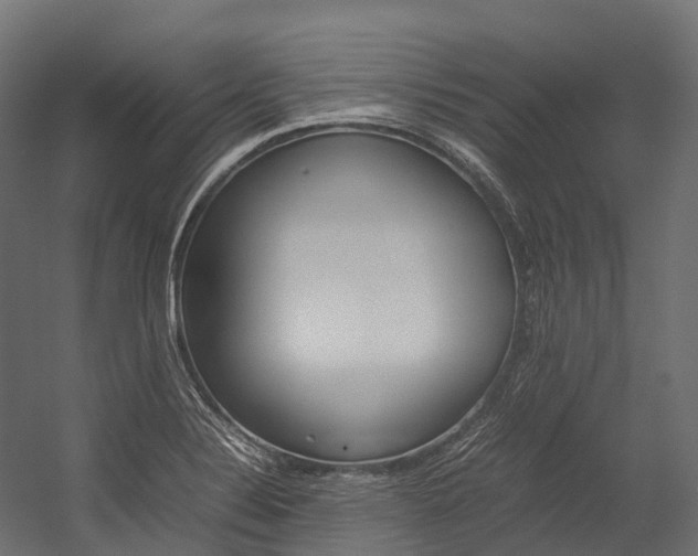 X0000054431324200507290942