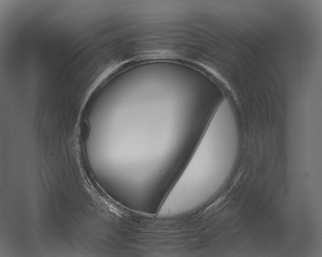 X0000054431325200507290942