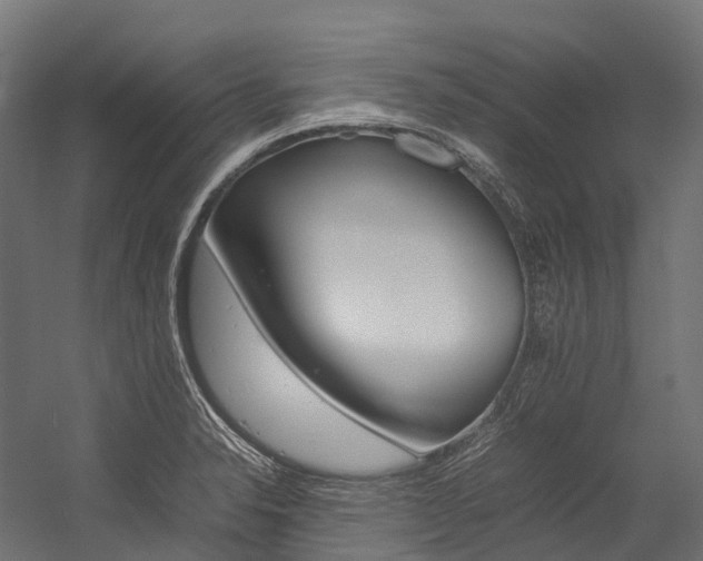 X0000054431326200507290942