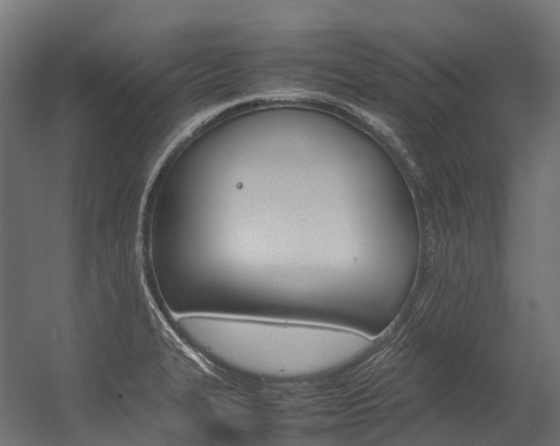 X0000054431327200507290942