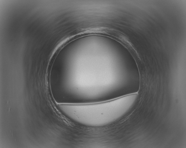 X0000054431328200507290942