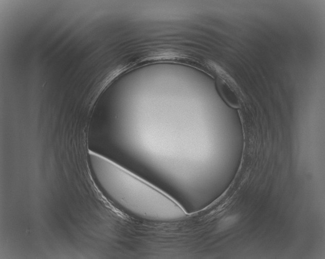 X0000054431329200507290942