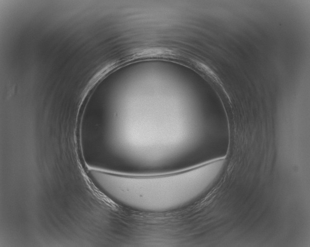 X0000054431330200507290942