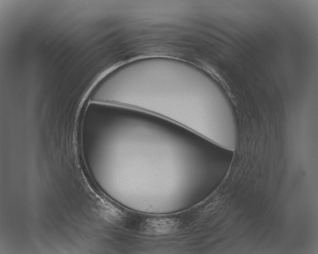 X0000054431331200507290942