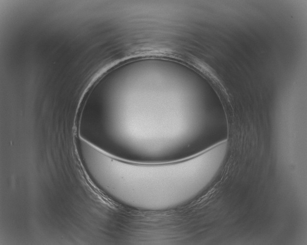 X0000054431332200507290942
