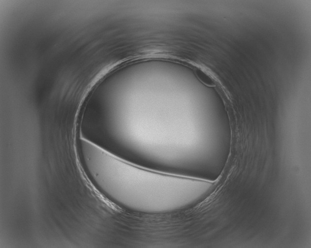 X0000054431333200507290942