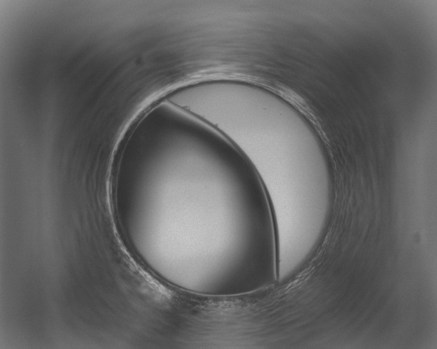 X0000054431334200507290942