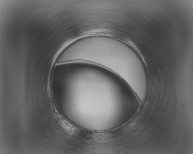 X0000054431336200507290942