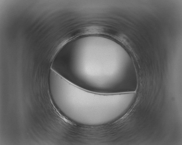 X0000054431337200507290942