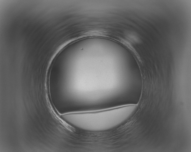 X0000054431339200507290942