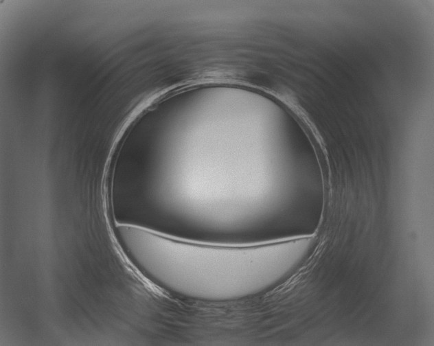 X0000054431341200507290942