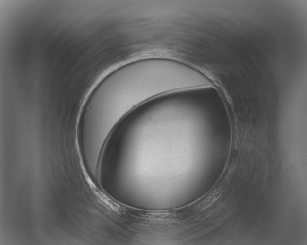 X0000054431342200507290942