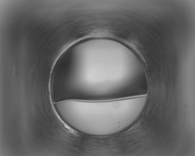X0000054431343200507290942