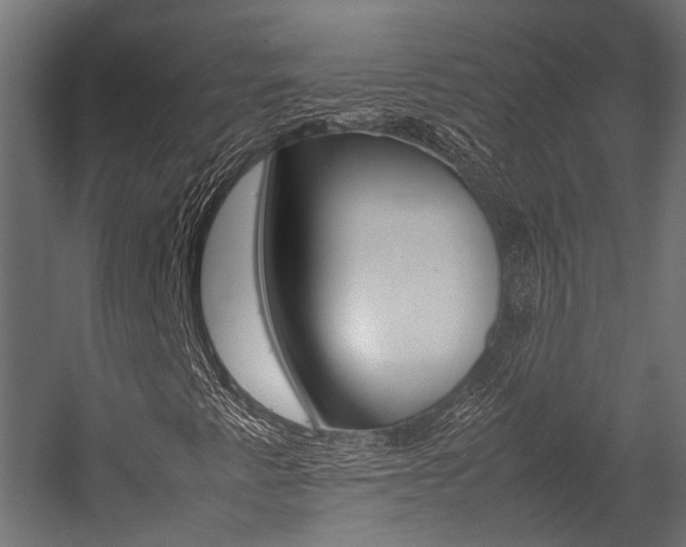 X0000054431345200507290941