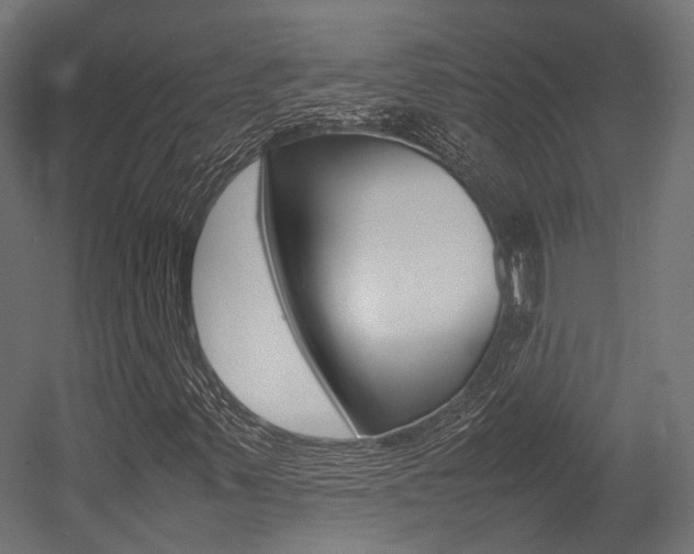 X0000054431347200507290941