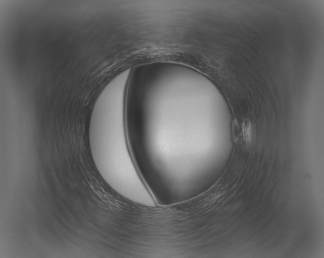 X0000054431348200507290941