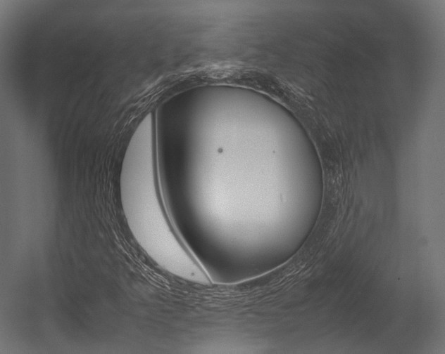 X0000054431349200507290941