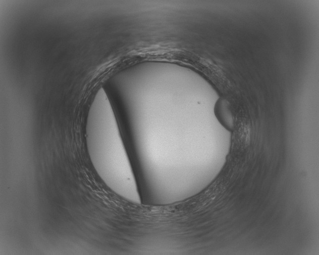X0000054431350200507290941