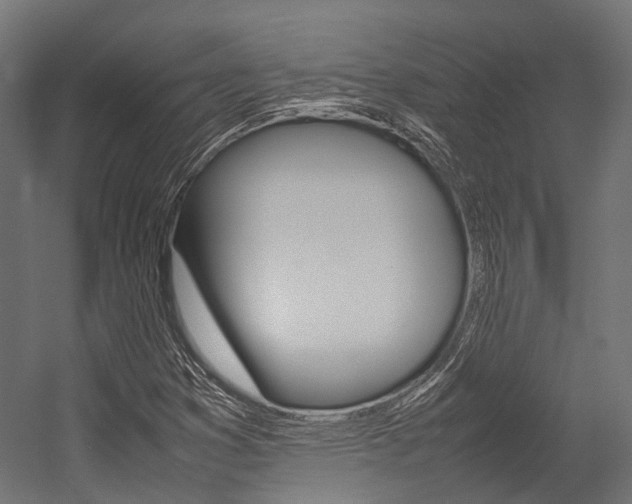 X0000054431353200507290941
