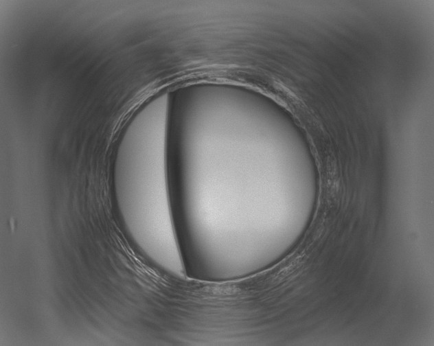 X0000054431354200507290941