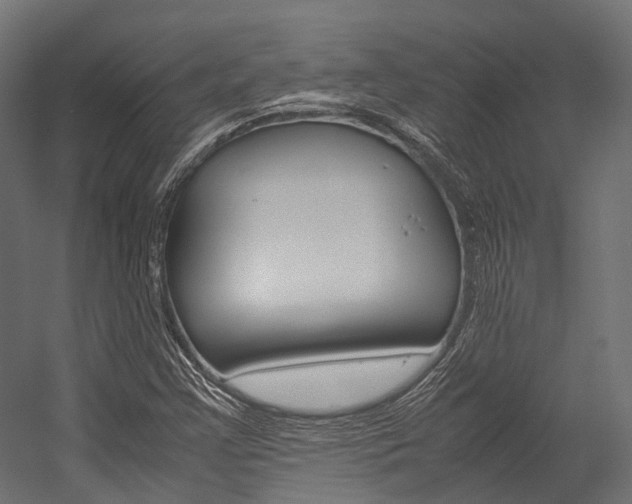 X0000054431355200507290941