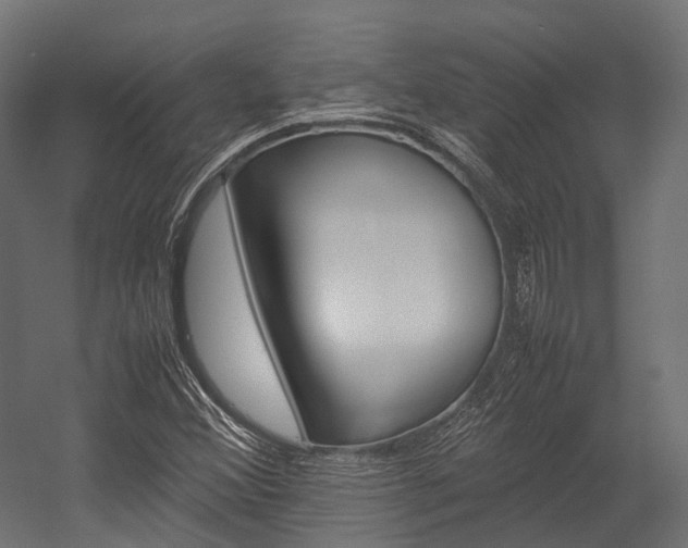 X0000054431356200507290941