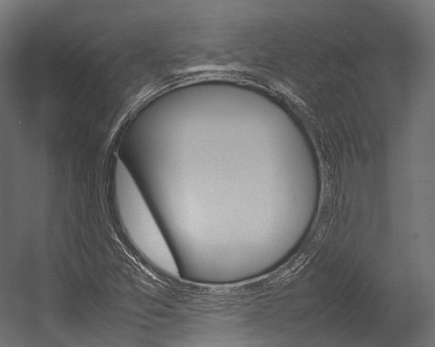 X0000054431357200507290941