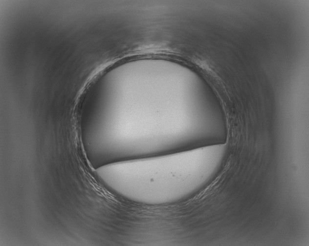 X0000054431358200507290941
