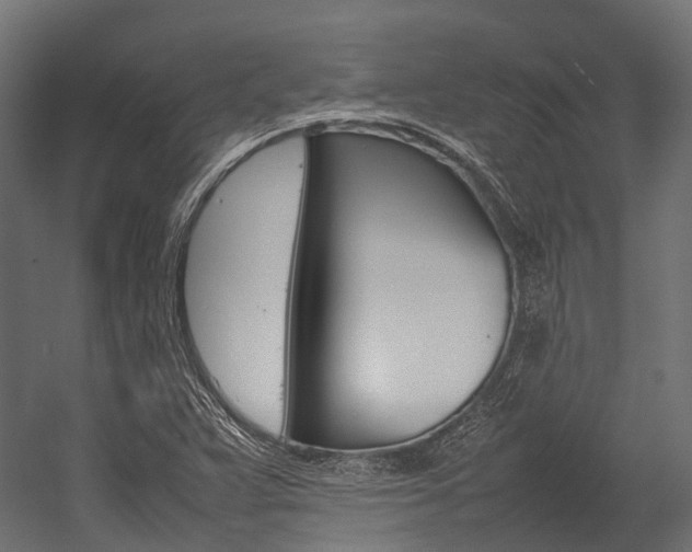 X0000054431359200507290941