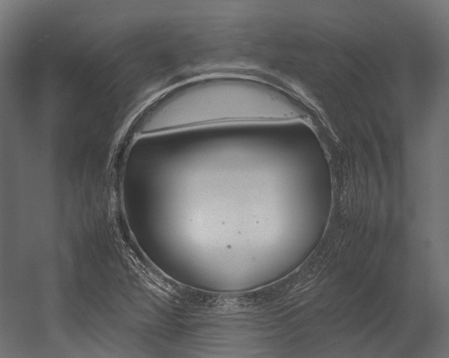 X0000054431360200507290941
