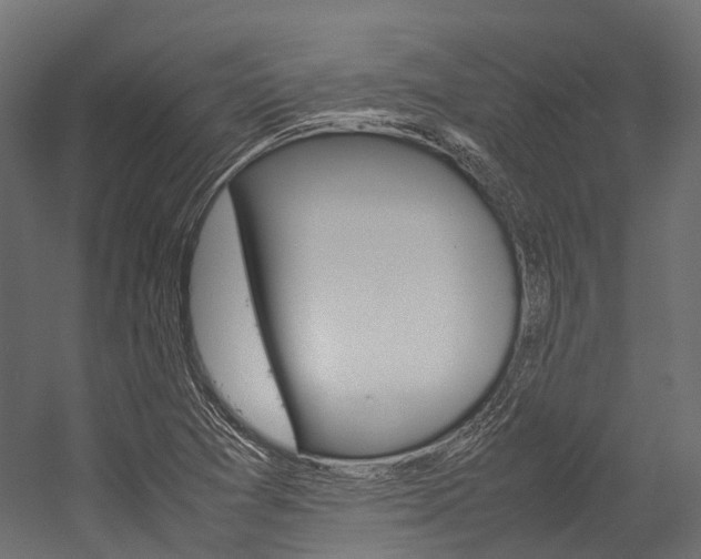 X0000054431361200507290941