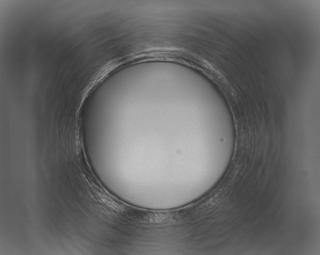 X0000054431362200507290941
