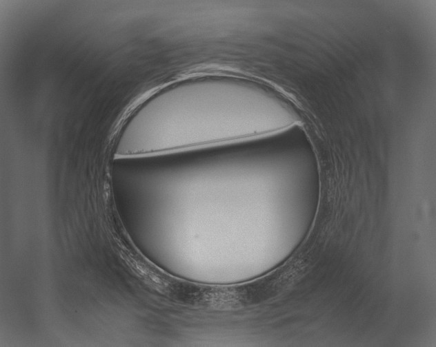 X0000054431363200507290941