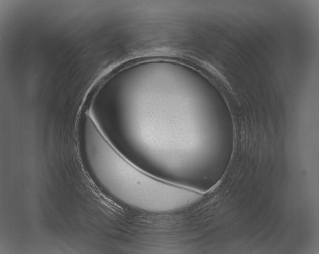 X0000054431364200507290941