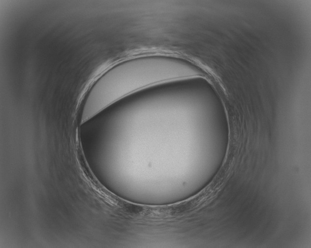 X0000054431365200507290941