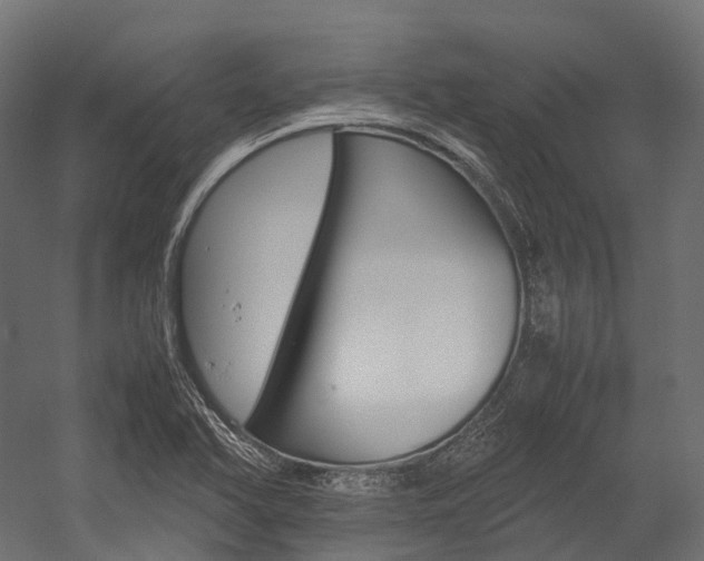 X0000054431366200507290941