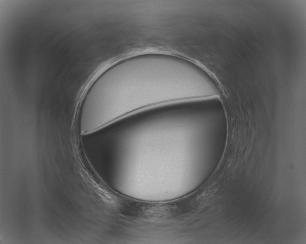 X0000054431367200507290941