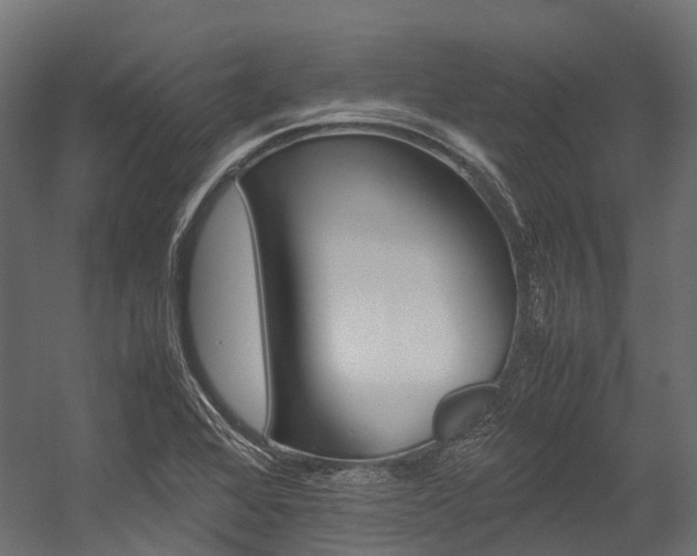 X0000054431368200507290941