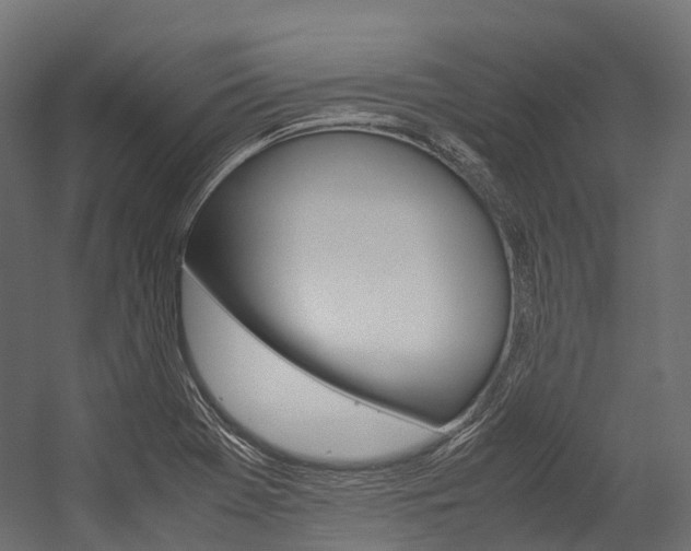 X0000054431369200507290941