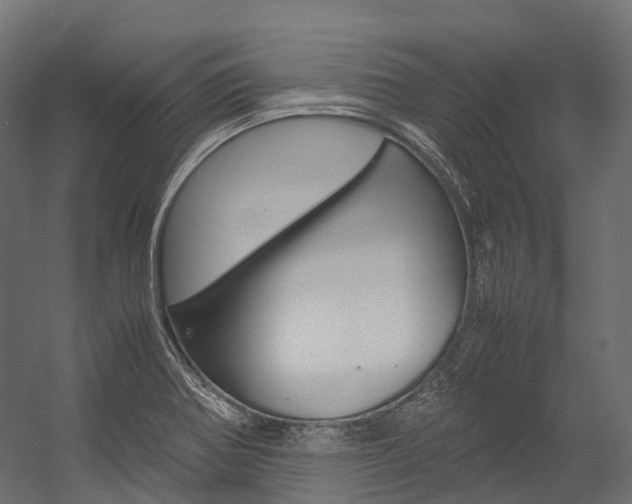 X0000054431370200507290941