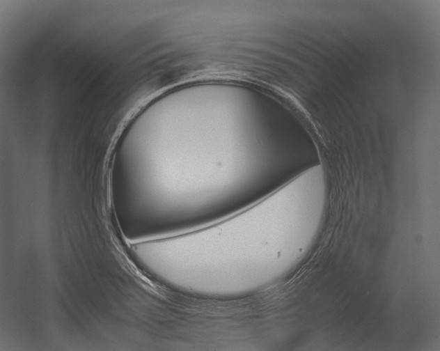 X0000054431371200507290941
