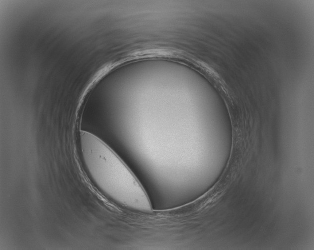 X0000054431373200507290941