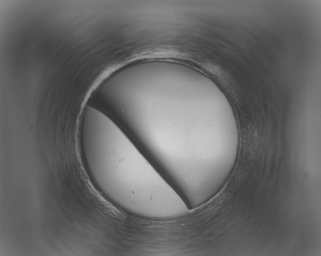 X0000054431374200507290941