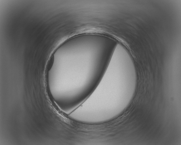 X0000054431375200507290941
