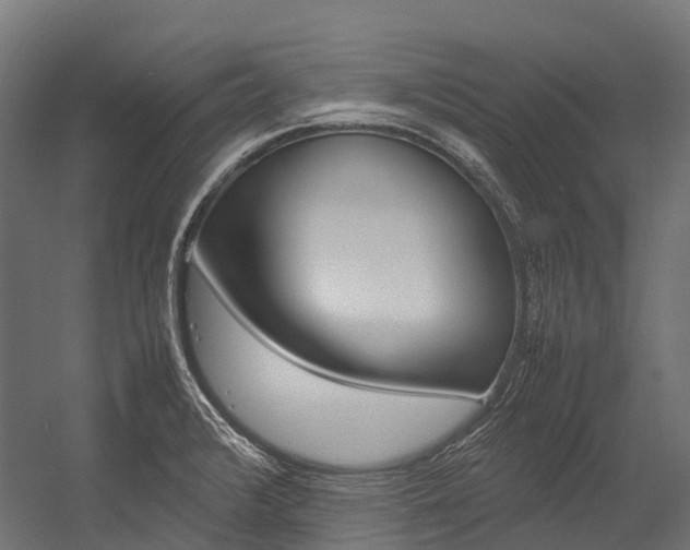 X0000054431376200507290941