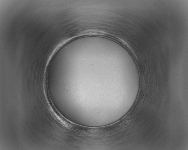 X0000054431379200507290941