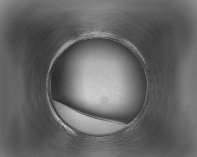 X0000054431381200507290941